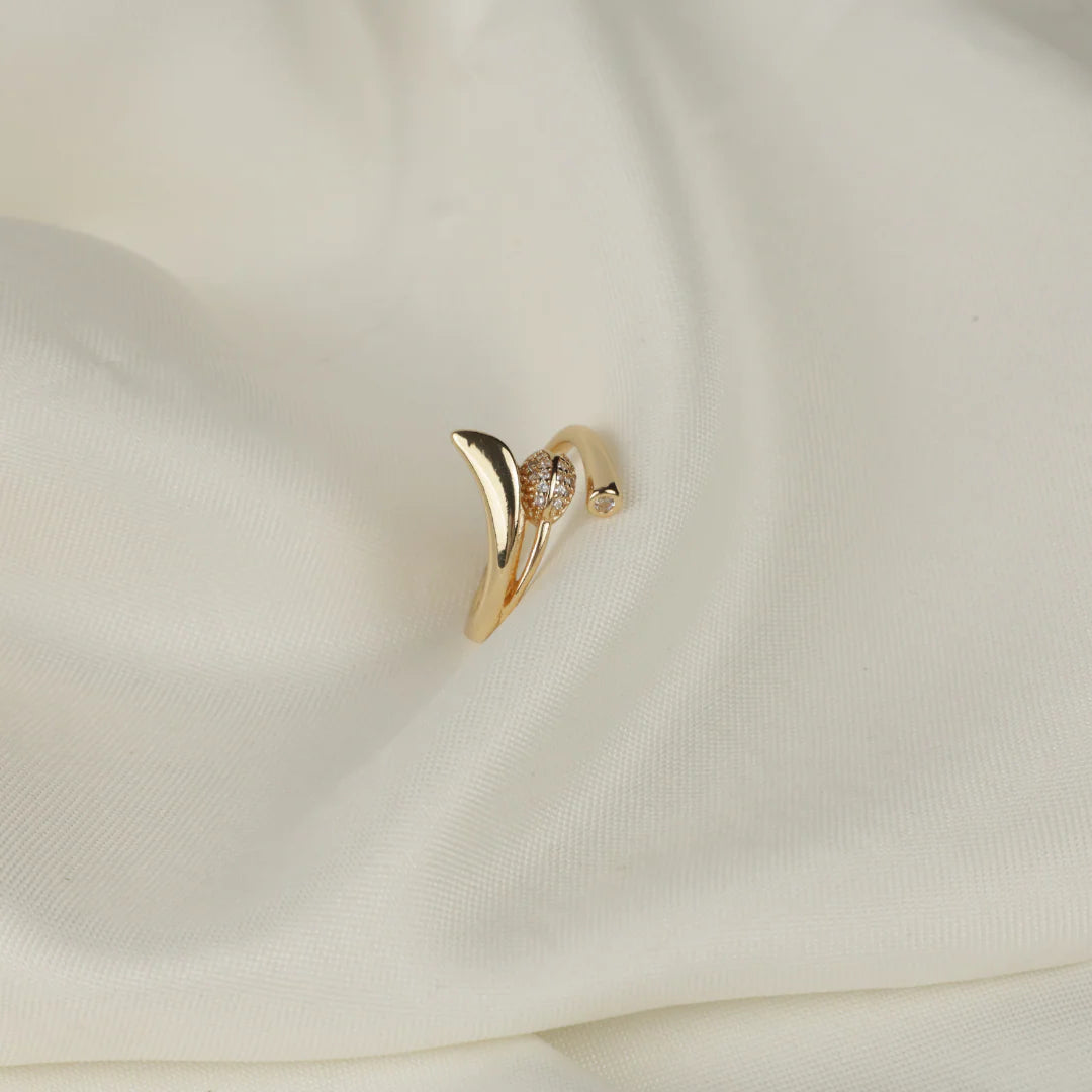 Golden Double Globe Ring