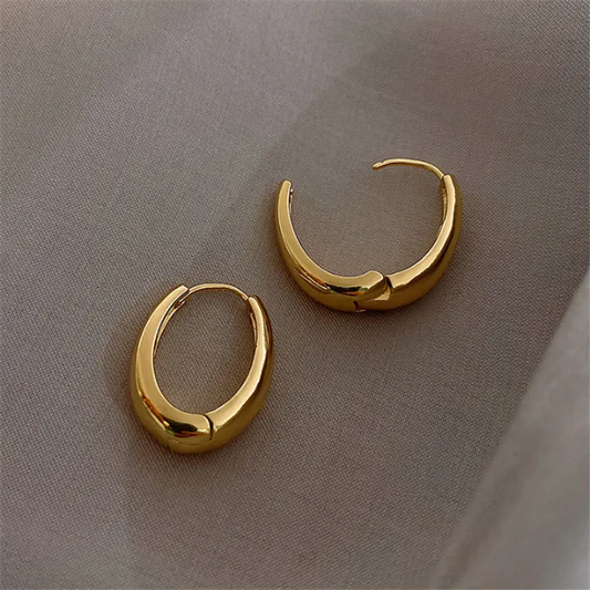 Sculpted Mini Oval Hoops